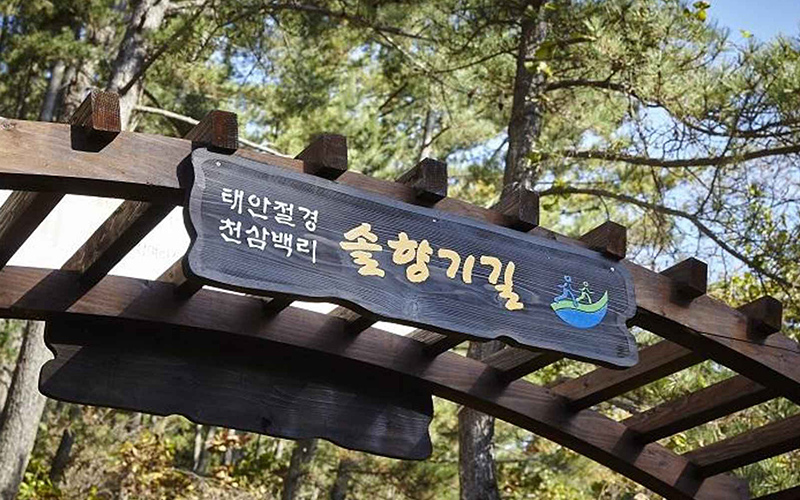 포항 구룡포 과메기문화관